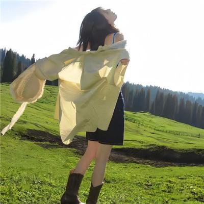 冰山上的来客2012