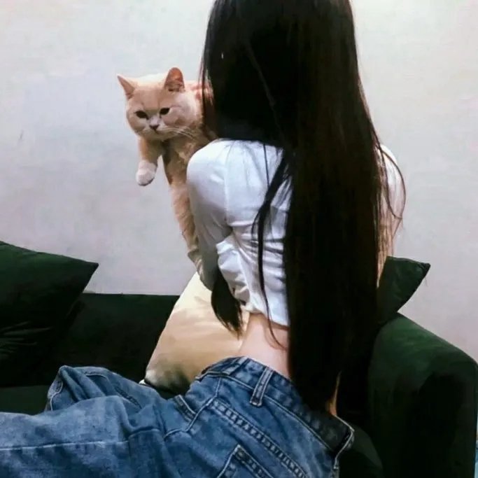 玲珑狼心