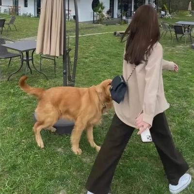 可怕的伊万娜